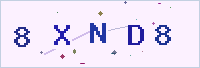 보안 문자